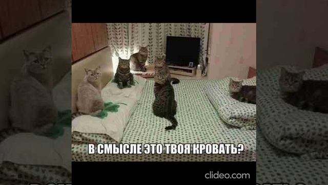 ночь 08.09 6 смотреть онлайн