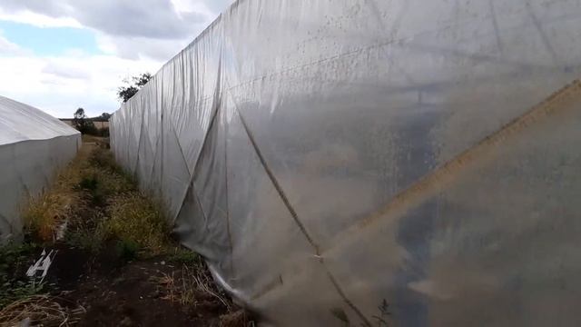 какие преимущества у круглого теплицы смотреть онлайн