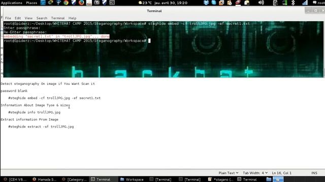 Steganography On Image Using Kali Linux смотреть онлайн