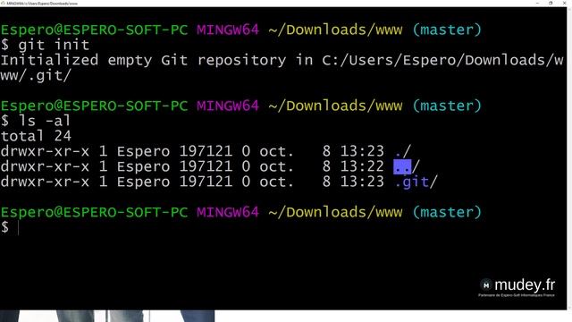 Mudey Formation | Cours 5 Git Création d'un dépôt local Git sur notre machine смотреть онлайн