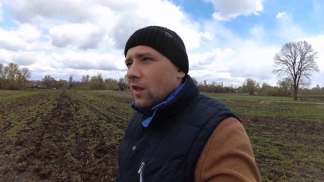 Способ применения навоза в качестве удобрения. Секретная технология русских смотреть онлайн