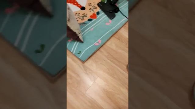 Как собрать рассыпавшийся бисер смотреть онлайн