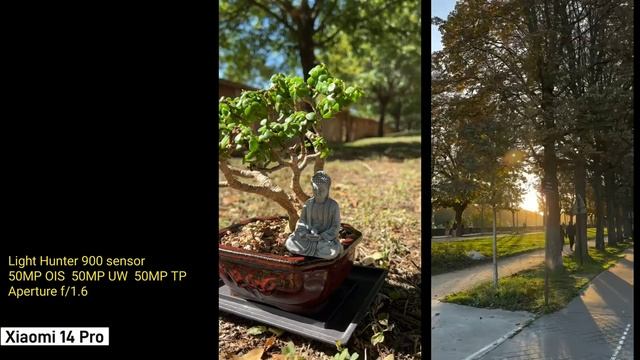 Xiaomi 14 pro camera test | Zoom test video | 4k смотреть онлайн