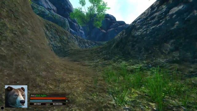 СИМУЛЯТОР МЕДВЕДЯ! ВСТРЕТИЛ ОПАСНОГО ВОЛКА Симулятор жизни зверей Bear Simulator смотреть онлайн