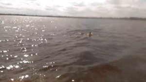 Голышом поморские девки только в белом море купаются, а на речке и приодеться могут.