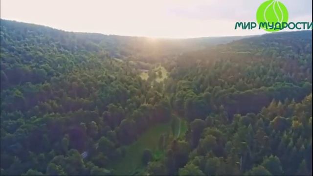 Как освежить личные отношения? ОШО. Любовь Свобода Одиночество смотреть онлайн