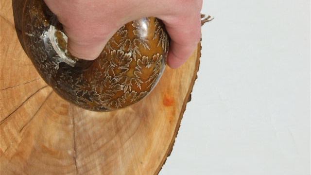 Аммонит Puzosia [Мадагаскар] [14x12 см] 508 смотреть онлайн