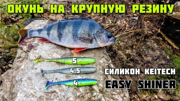 Окунь на КРУПНЫЙ силикон - keitech easy shiner, рыбалка в Ноябре 2020