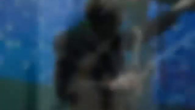 Ustad Rashid Ali Khan Playing Raag Aiman Kalayan On Saxophone ! Part 2 смотреть онлайн