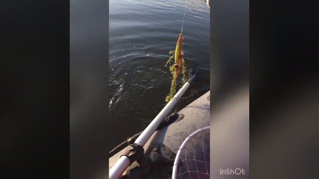 Клев бешанной щуки! смотреть онлайн