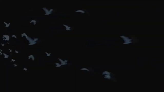 Hannah × Jonas [ давай останемся друзьями ] смотреть онлайн