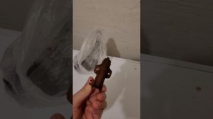 Стиральная машинка Indesit не стирает. Не крутит барабан. Не отжимает