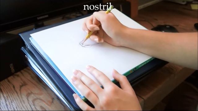 How to Draw With Arielle Namenyi - Rocky смотреть онлайн