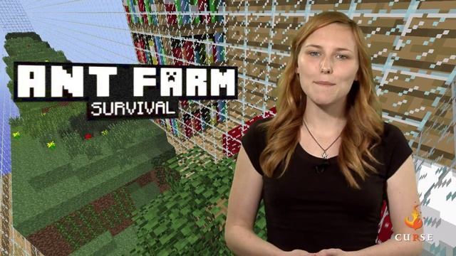 Minecraft - Ant Farm Survival Community Creation смотреть онлайн