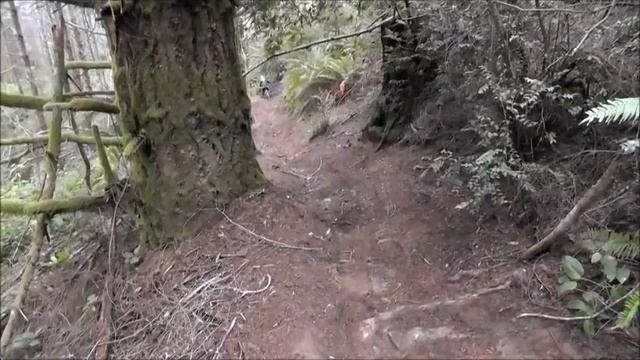 Mad Man on a Bike - Twist of the Python смотреть онлайн