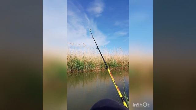 поехал на рыбалку в сладкий лиман!# рыбалка#сладкий лиман! смотреть онлайн