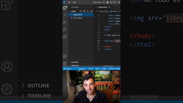Cómo poner imágenes en HTML смотреть онлайн