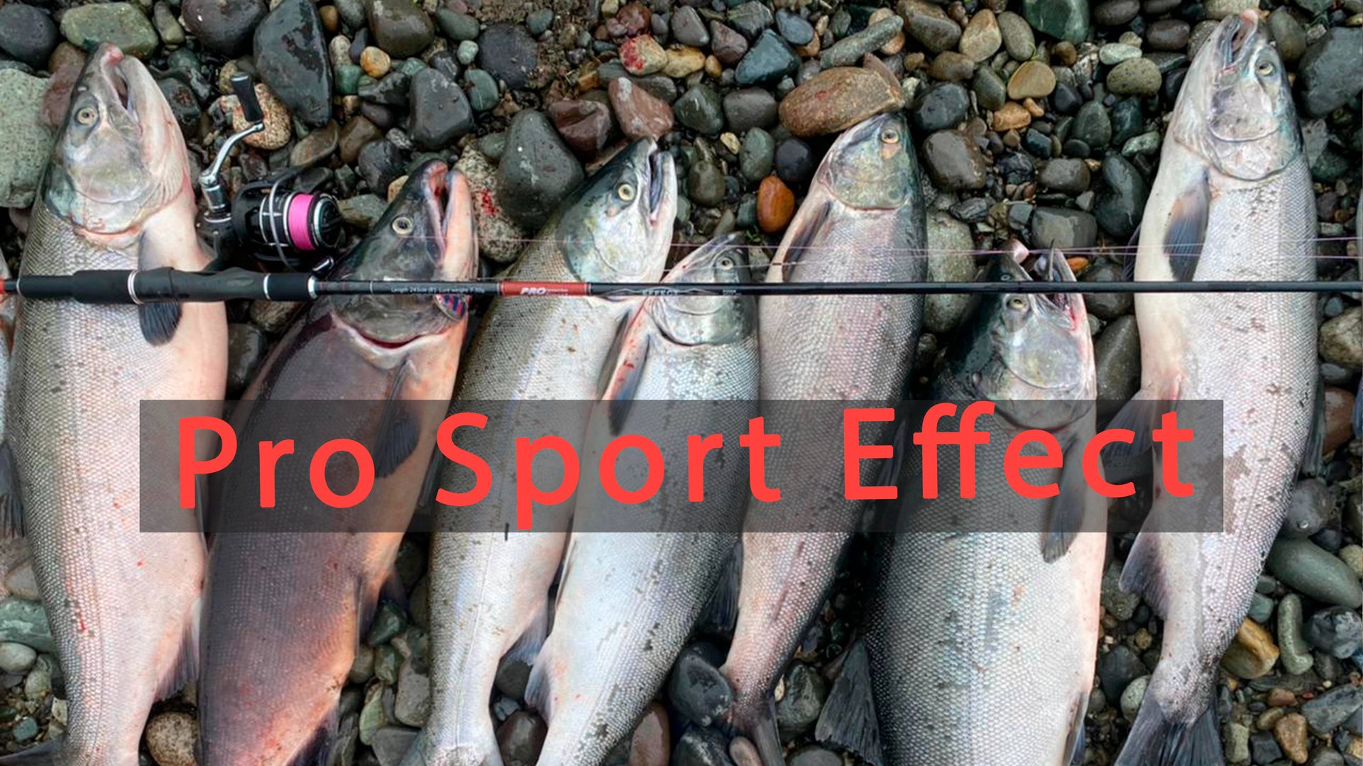 Спиннинг Volzhanka Pro Sport Effect (Волжанка ПРО СПОРТ ЭФФЕКТ)