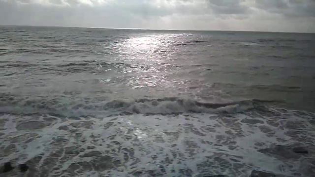 Ласточка "Краснодар-Адлер" 19.03.2021 смотреть онлайн