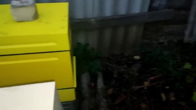 Откуда его столько?! (второй пролив бипином)