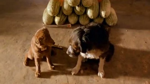 Флюк / Fluke 1 часть