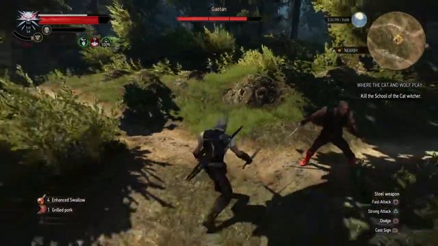 The Witcher 3: Wild Hunt, Where the Cat and Wolf Play/Gaetan the Witcher Encounter (Death March) смотреть онлайн