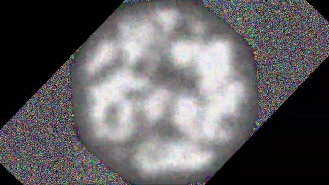 Simulated Video Feedback on the GPU (Run 8440) смотреть онлайн