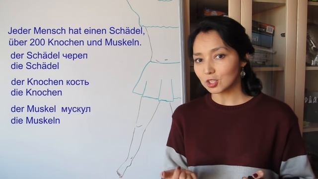 5. Немецкий словарный запас. Части тела смотреть онлайн