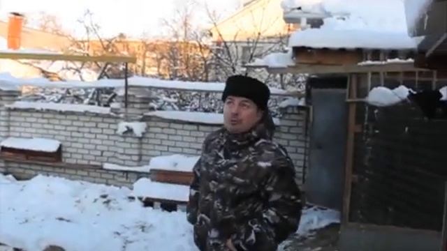 Николаевские голуби Сергея Родионова. (Поговорим, мой друг.) Волгоград. Часть 120 смотреть онлайн