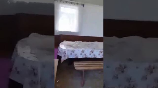 Киргизия охренела чо Ани хотят от турков сами по турции ходят некто их не трогает как дома спакойны смотреть онлайн