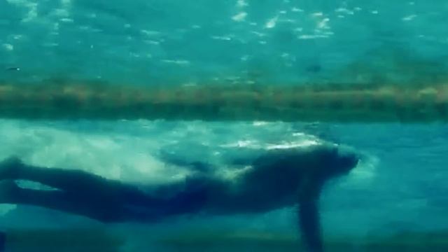 Cobra Ultra Arena Goggles смотреть онлайн