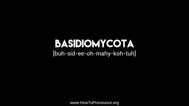 How to Pronounce "basidiomycota" смотреть онлайн