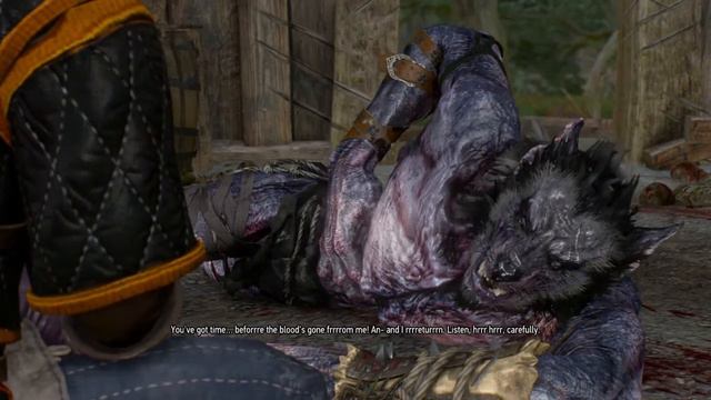 The Witcher 3: Wild Hunt Morkvarg the Werewolf смотреть онлайн