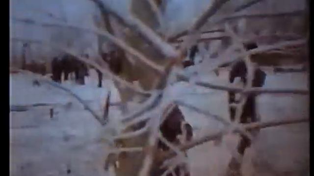 Город Рудный! смотреть онлайн