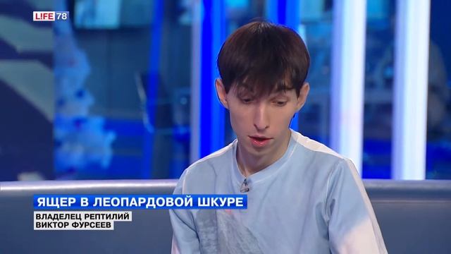 Пятнистый геккон в домашних условиях смотреть онлайн