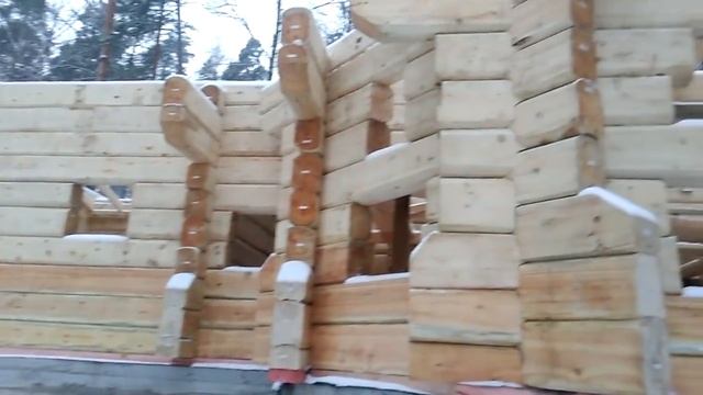 Сборка кедрового сруба смотреть онлайн