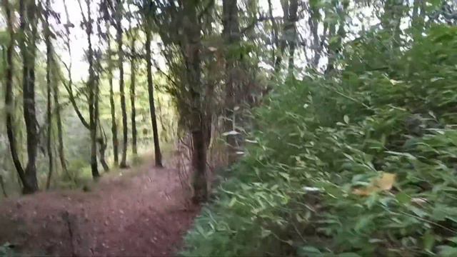 Лесной участок в Верхнем Юрте. Сочи смотреть онлайн