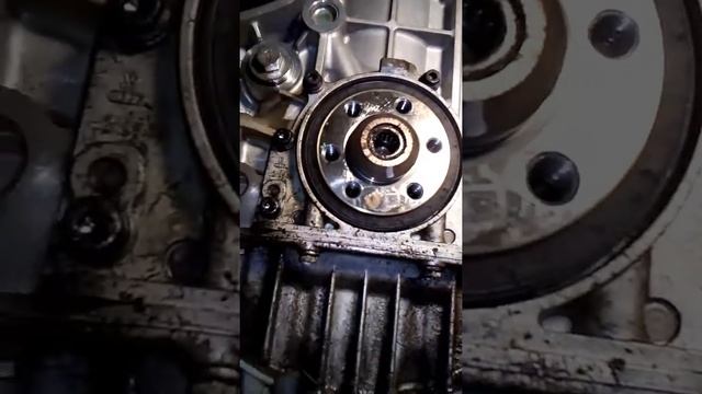 DSG 7 течь коренного сальника. смотреть онлайн