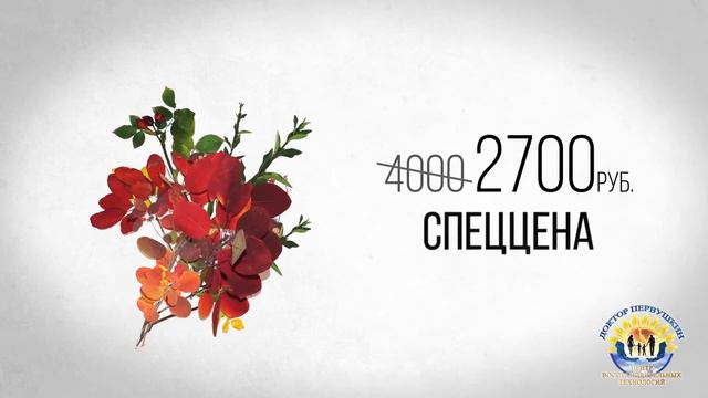 Спеццена на прием Евгения Аверина в преддверии начала учебного года смотреть онлайн