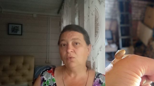 15.23 Не рукодельный эпизод. Мало #вышивка . Много меня и разговоров #рукоделие #блог смотреть онлайн