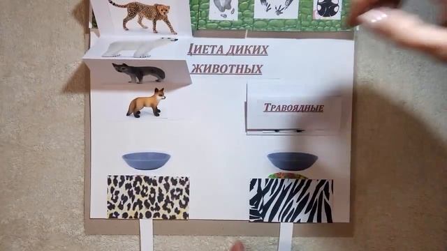 ЛЭПБУК своими руками для дошкольника смотреть онлайн