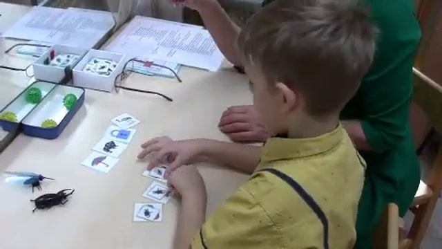 Индивидуальное занятие "Дифференциация звуков З-Ж" смотреть онлайн