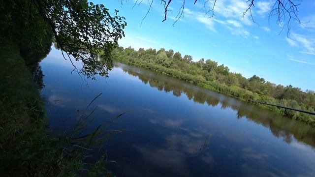 В этих КОРЯГАХ всегда есть щука!!! Не просёк паравоза!!! × р.Клязьма раздаёт! Ловля щуки в КОРЯГАХ! смотреть онлайн