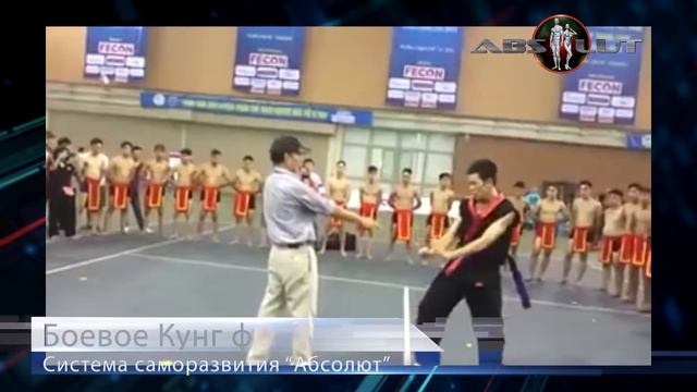 Какие есть основные направления единоборств. Боевое, спортивное, оздоровительное смотреть онлайн