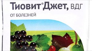 1-я серия. ПРЕПАРАТЫ ЗАЩИТЫ САДА и ВИНОГРАДА  от БОЛЕЗНЕЙ. ЧТО КУПИТЬ НА СЕЗОН.