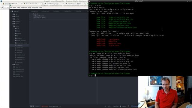210 Anax Flat tema (20) make test && git tag смотреть онлайн