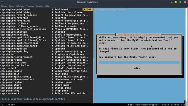 Mettre en place un serveur Web (38/28) : Capistrano : Déployer Rails avec Puma / Nginx смотреть онлайн