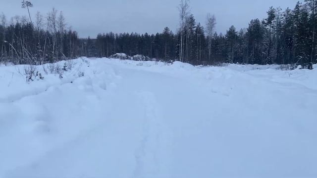 Где искать Тетерева. Охота на боровую дичь. Теория. смотреть онлайн