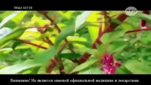 Секреты Макияжа