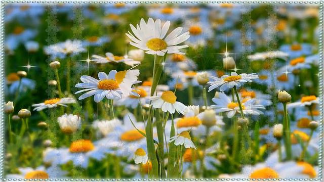 Ромашки для Наташки смотреть онлайн